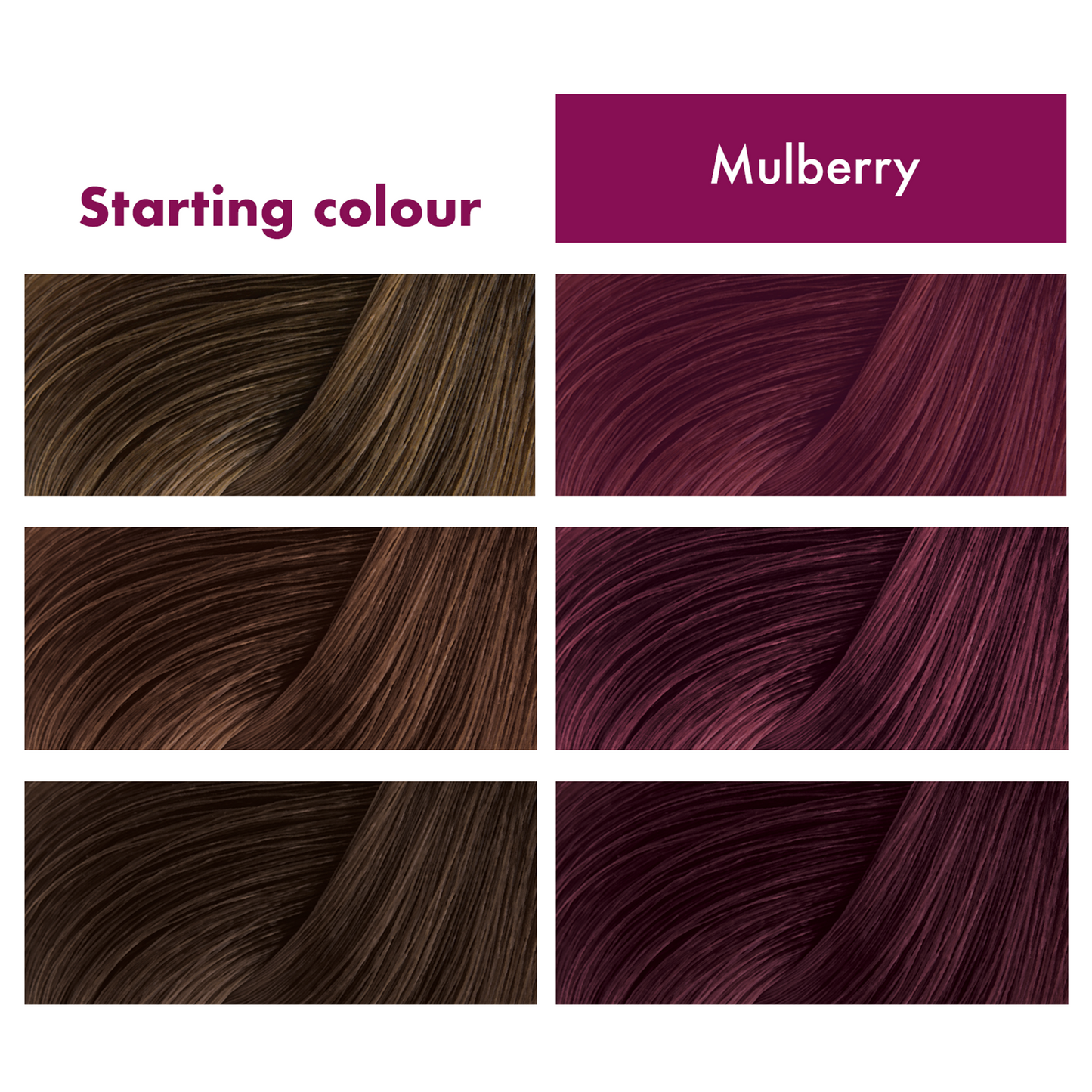 Flowerology Temporary Colour Mask - Mulberry 200ml