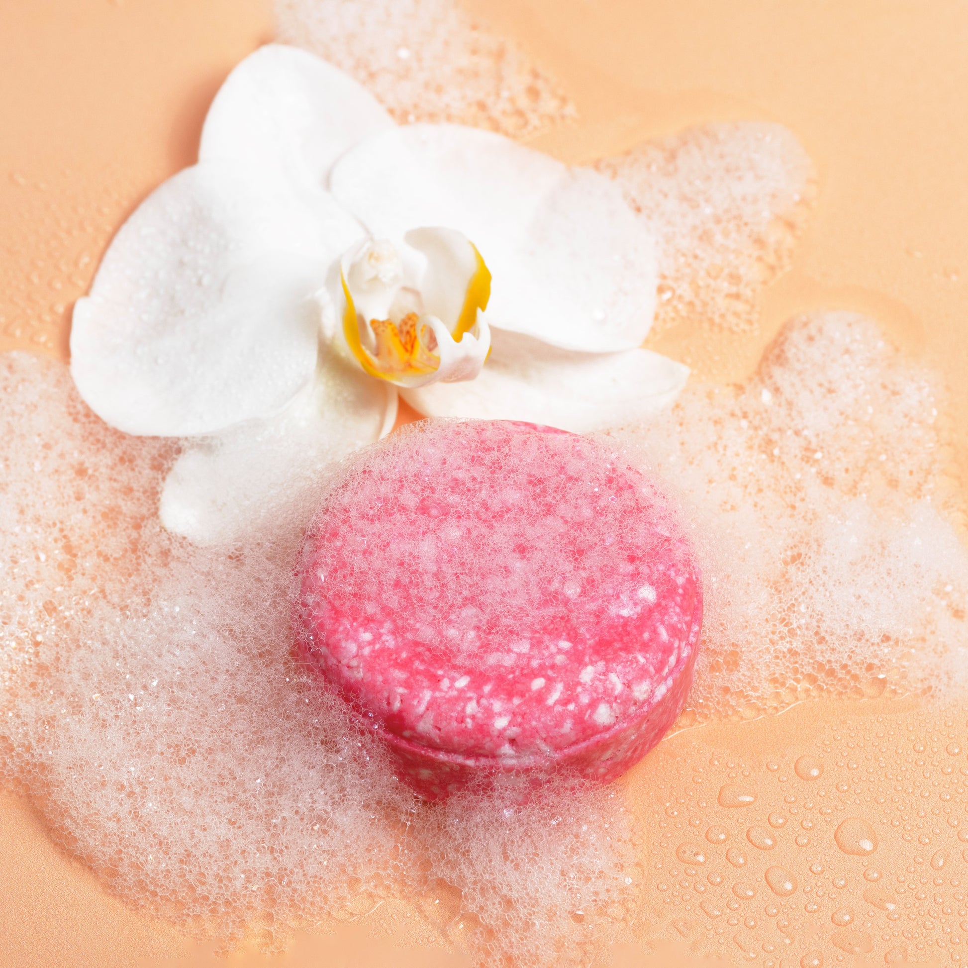 shampoo bar schaum curly secret